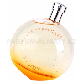 Фото Hermes - Eau des Merveilles - Eau de Toilette - Туалетная вода для женщин - Тестер 100 мл