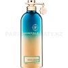 Фото Montale - Aoud Lagoon - Eau de Parfum - Парфюмерная вода унисекс - Тестер 100 мл